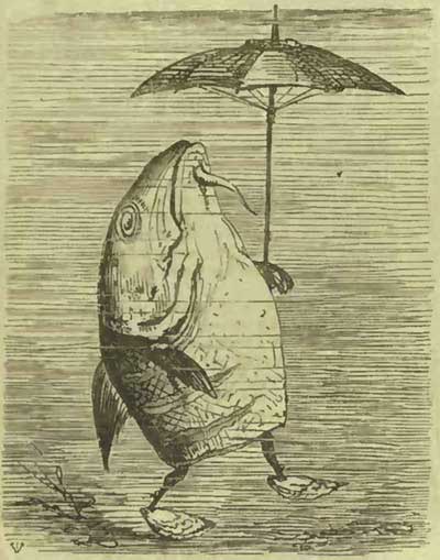 рыба с зонтом